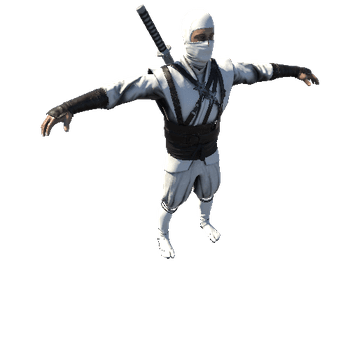 Ninja White